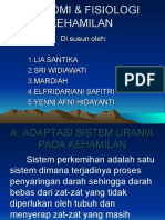 Anatomi Dan Fisiologi Kehamilan