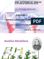 UNIDAD 1 Genética Mendeliana