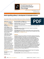 Notch Signalling Pathway in Development of Cholangiocarcinoma