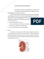 Sistem Perkemihan Manusia