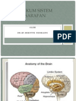 Praktikum Sistem Persarafan