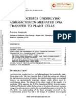 BASIC PROCESSES UNDERLYING Agrobacterium Mediated DNA Transfer To Plant Cells