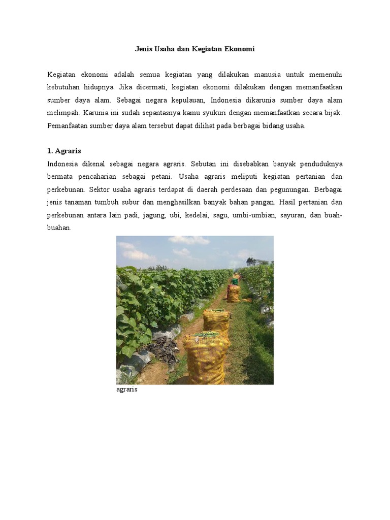 Jenis Usaha Dan Kegiatan Ekonomi