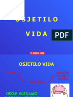 Osjetilo Vida