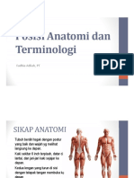 Posisi Anatomi Dan Terminologi