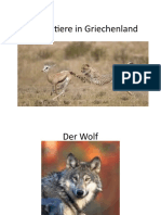 Rauptiere in Griechenland