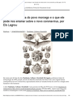 Nisun_ A vingança do povo morcego e o que ele pode nos ensinar sobre o novo coronavírus, por Els Lagrou – B V P S