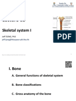 2020-2021 AP 1 Lecture 6b Skeletal System 1