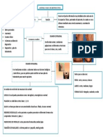 MAPA DE HISTORIA CLINICA