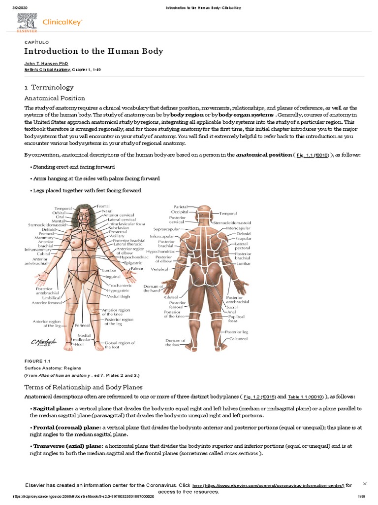 Introduction To The Human Body - ClinicalKey | PDF | Lymphatic System ...