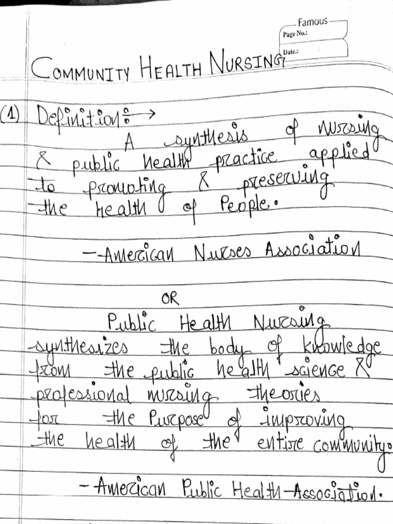 (A Depinttom: Public He | PDF