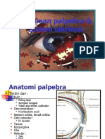 Kelainan Palpebra dan Sistem Lakrimal