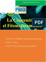 Citogenetica y El Fitomejoramiento