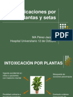 Casos Clinicos Intox Por Plantas