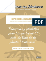 CM - Esquemas y Plantillas para Los Puzles de El Ciclo de Vida de La Planta Montessori