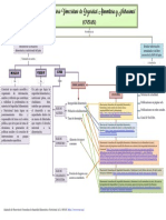 Mapa Conceptual Ovsan