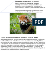 Adaptaciones de Los Animales