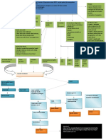 Mind Maping BPH-1