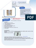 Semana 2 Lab - CN-6ºano