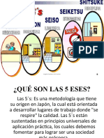 Programa 5 ESES (5 S)