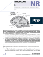 Material Introduccion Neurologia