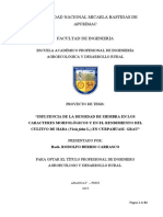 Proyecto de Tesis Densidad de Siembra en Haba 2019