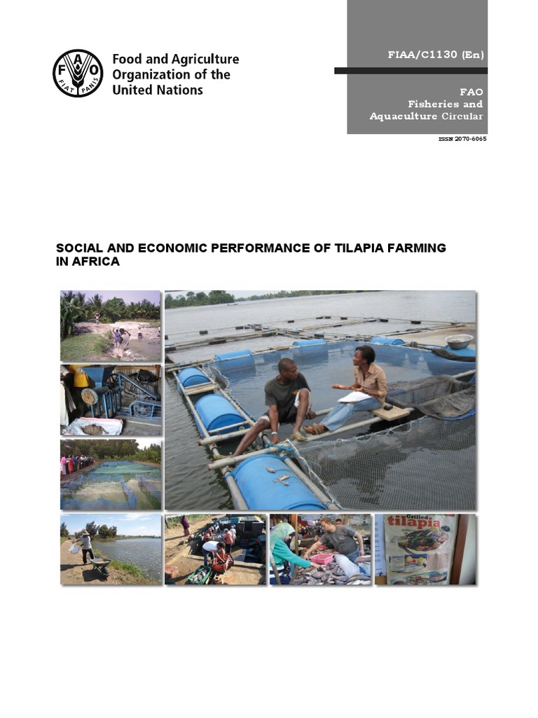 Social and Economic Performance of Tilapia Farming in Egypt PDF