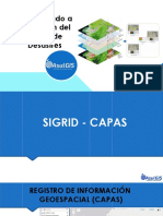 Clase 5.1 SIGRID - CAPAS