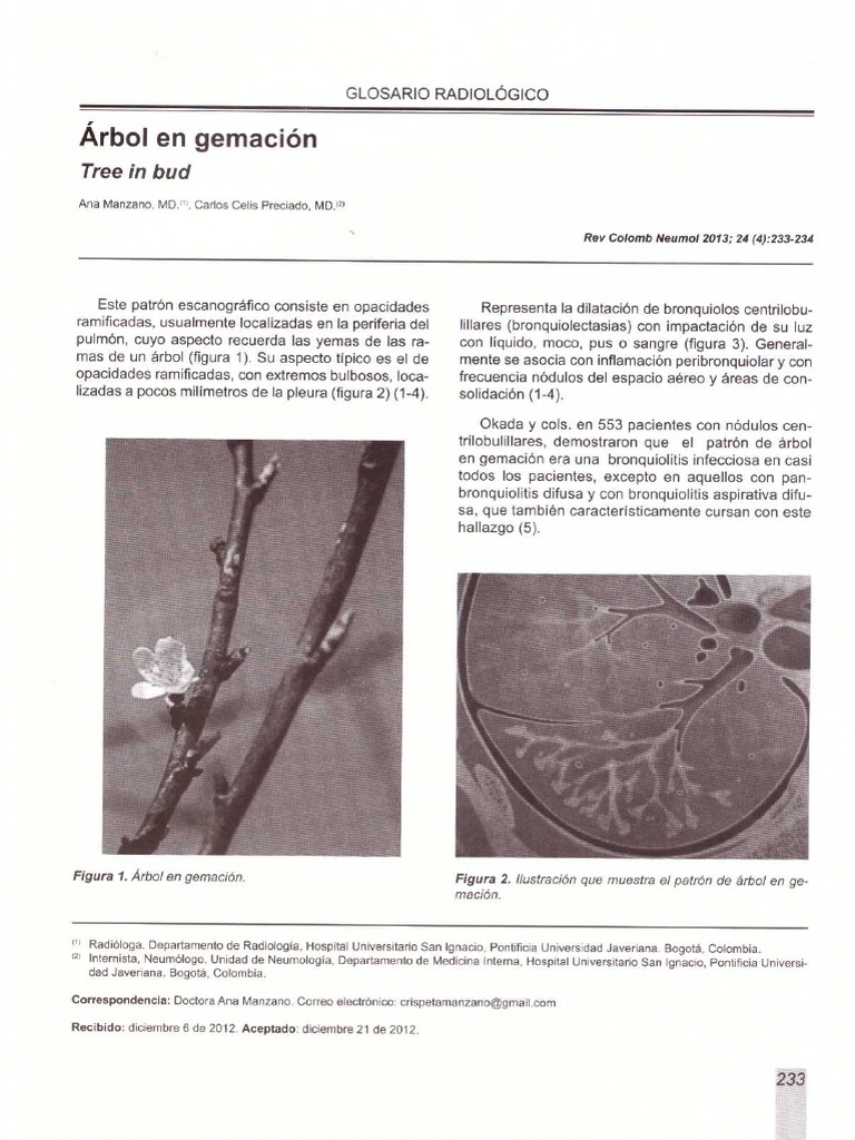 Arbol en Gemación | PDF | Neumología | Enfermedades respiratorias