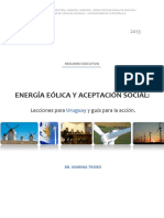 Resumen Ejecutivo Energia Eolica y Aceptacion Social