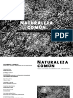 Relatos de la naturaleza: excombatientes