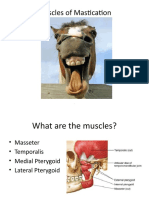 Muscles of Mastication Lecture SMSPP 2010 v1.1