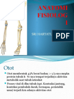 Anatomi Fisiologi Pertemuan 3