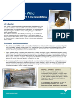 Back To The Wild Factsheet (PDF 308KB)