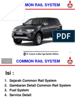 4 Common Rail-1