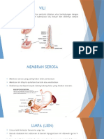 4.sistem Limfatik Bagian Lisna Dian