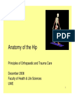 Anatomy of the Hip Joint