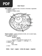 Celula - Tesuturi Celula Animala : Celula Tesut Organe Sistem de Organe Organism