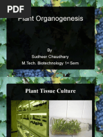 Download Plant organogenesis by Arjun Kumar SN49763205 doc pdf