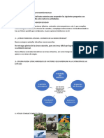 Ficha Pedagógica Biología Primero A-B 04 Al 08 Enero