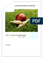 Physical Education Project On Cricket: Cricket - "A Magic Word in The Sphere of Sports."