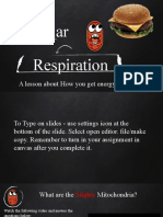 Cellular Respiration-Student