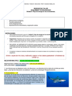 Biología - Taller Formativo 1 - Unidad 0 - Flujo de Energía en Los Ecosistemas