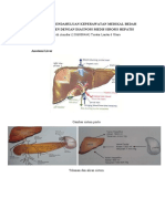 Cirrhosis Fix