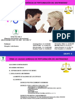  Tema 13 Causas Juridicas de Perturbacion Del Matrimonio Der de Familia