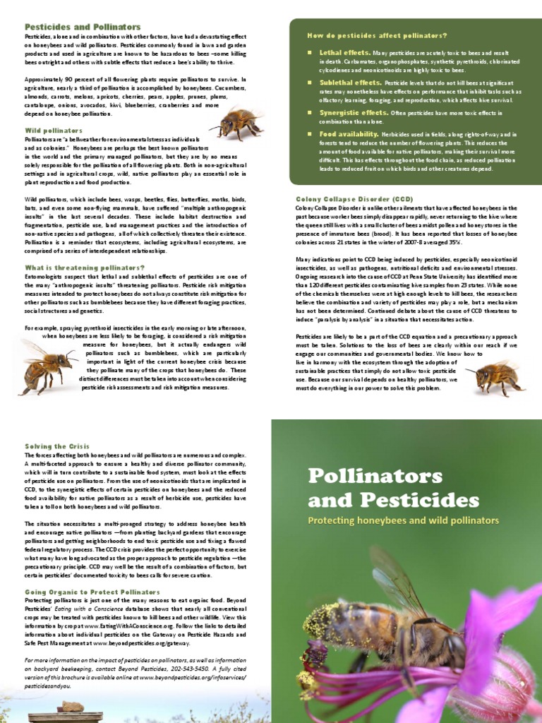 Pollinators | PDF | Pesticide | Pollination