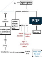 Esquema (Biologia)