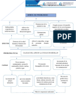 Arbol de Problemas