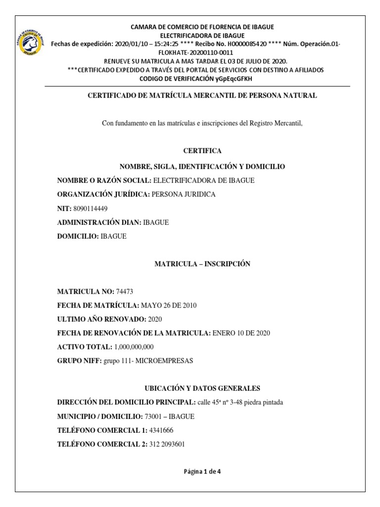 Certificado de Matrícula Mercantil de Persona Natural | PDF ...