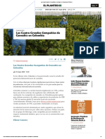 Las Cuatro Grandes Compañías de Cannabis en Colombia - El Planteo MAY 2020